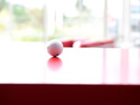 Employer’s withdrawal from the non-competition clause in the light of the current case law of the Constitutional Court of the Czech Republic